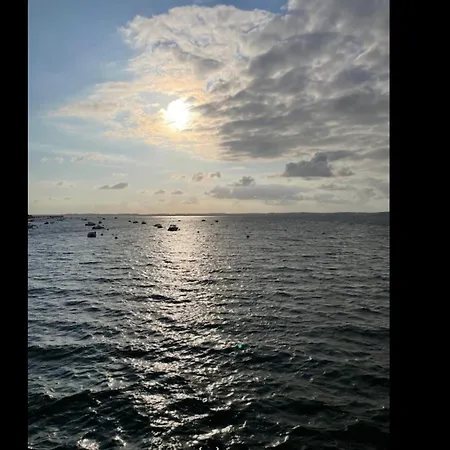 Des Tchanque Es - Arcachon